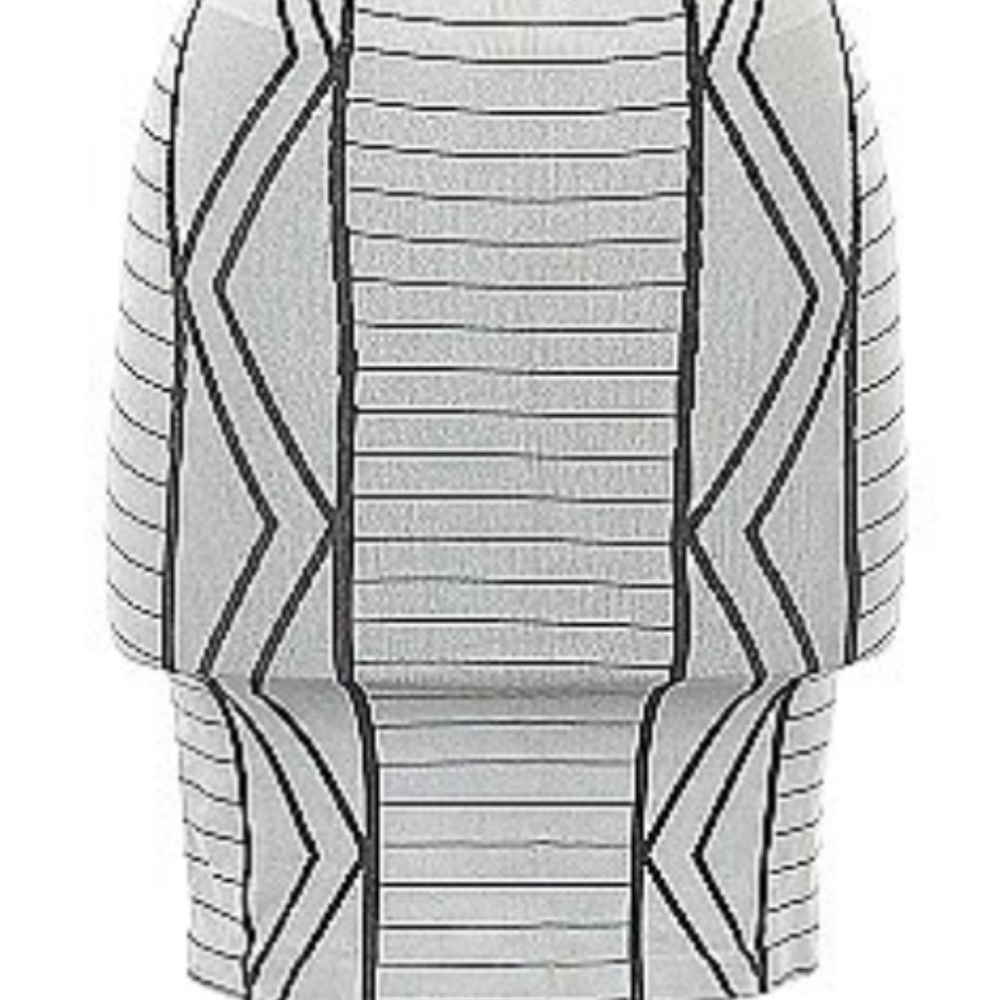 BCBG skirt